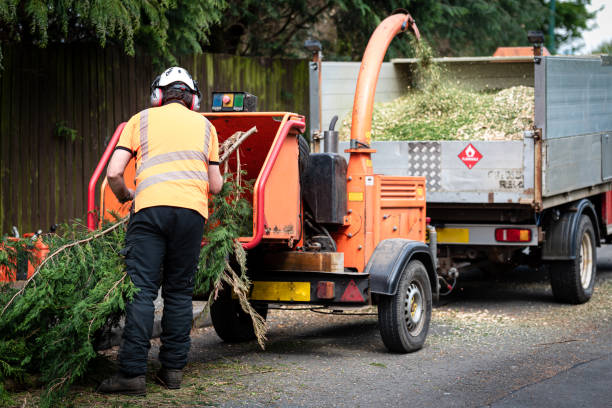  Decordova, TX Tree Care Services Pros